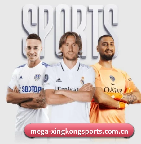 每个板块围绕一个运动项目展开 | XINGKONGSPORTS